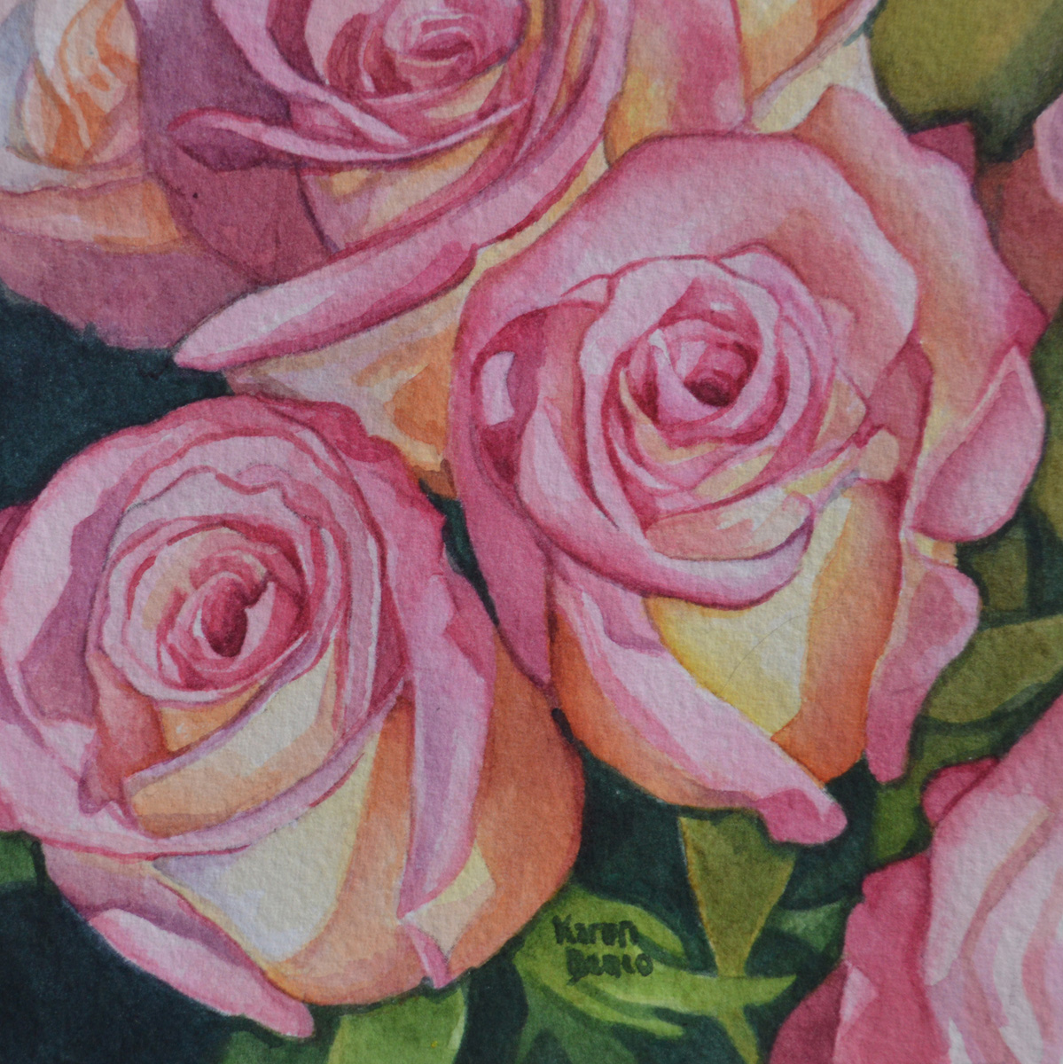 Pink Recital Roses Image